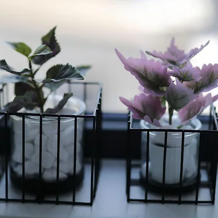 Villa Holidays Skíti