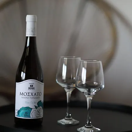 Villa Holidays Skíti